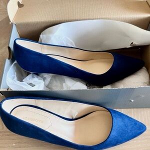 Liz Claiborne Navy Blue Pointed-Toe Suede Flats